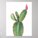 Recherche de cactus rose posters Imprimer