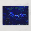 Recherche de poissons tropicaux cartes postales Mer