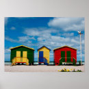 Recherche de gallo posters Beach