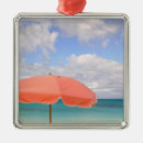 Search for turks and caicos ornaments Walter bibikow