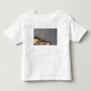 Search for wind mill tshirts Island