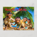 Recherche de petit singe cartes postales Singes