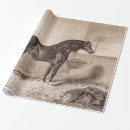 Search for 1800s wrapping paper Vintage