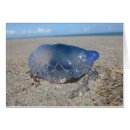 Recherche de seconde guerre mondiale Plage