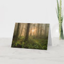 Search for foggy cards Landscape