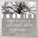 Search for ralph art Quote