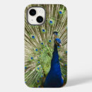 Search for peacock blue iphone cases Photography