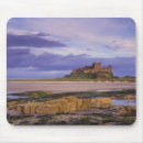Search for thompsons mousepads Bujaruelo