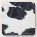 Search for cowhide coasters White