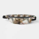 Search for hamster photography Pet