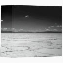 Search for salt binders South america
