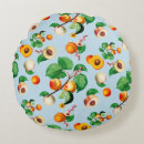 Search for apricot pillows Chic