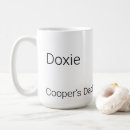 Recherche de teckels tasses Toute personne