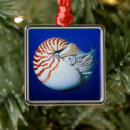 Search for underwater ornaments Shell