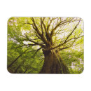 Recherche de la catalogne magnets Europe