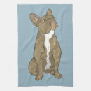 Recherche de chiens mignons cuisine linges Mignonne