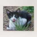 Search for black tuxedo cat puzzles Pet