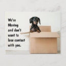 Search for moving notices Dog