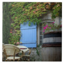 Recherche de vitré carreaux Vitre