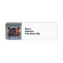 Search for hippopotamus return address labels Wildlife
