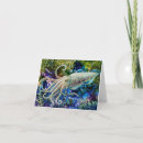 Search for drifting cards Nature