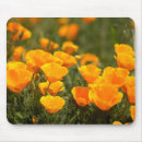 Search for montana mousepads Orange