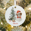 Search for for the st bernard ornaments Santa