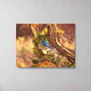 Search for birdwatcher canvas prints Photography