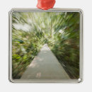 Search for wooden ornaments Outdoors