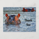 Recherche de hippopotames vœux cartes Animal