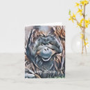 Search for orangutan cards Wildlife