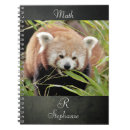 Search for panda notebooks Kawaii