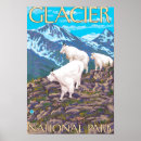 Search for glacier national park posters Mountain