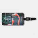 Recherche de flamant bagages étiquettes Oiseau