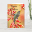 Search for hummingbird christmas cards Wildlife