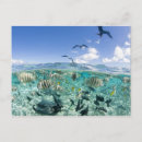 Recherche de raie cartes postales Poisson