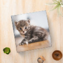 Search for tabby binders Kitten