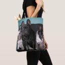 Recherche de province sacs Province de castellon