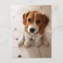 Recherche de crics cartes postales Chiot