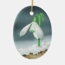 Search for drop ornaments Bloom