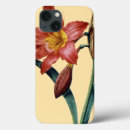 Search for amaryllis electronics Joseph