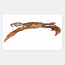 Recherche de maryland crabs stickers Fruits de mer