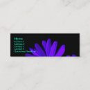 Search for gerberas photography Botanical