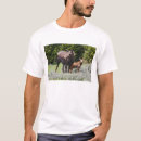 Search for ditto tshirts North america