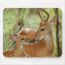 Search for bambi mousepads Animals