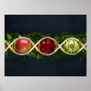 Search for genetically posters Genetic engineering