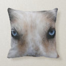 Search for angry face pillows Dog