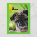 Recherche de chinoise cartes postales Dog