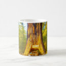 Recherche de redwood tasses Site du patrimoine mondial