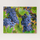 Recherche de vignoble puzzles Vignes